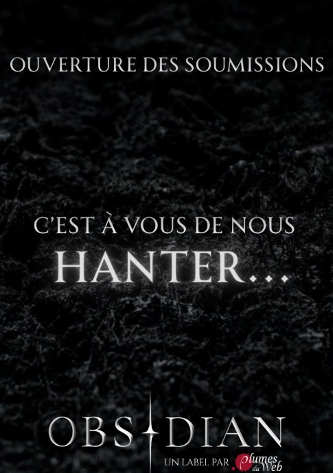 L'appel à textes des éditions Obsidian pour de l'horror Romance ! 